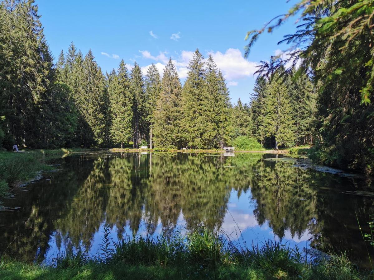 Naehe Nationalpark Διαμέρισμα Baiersbronn Εξωτερικό φωτογραφία