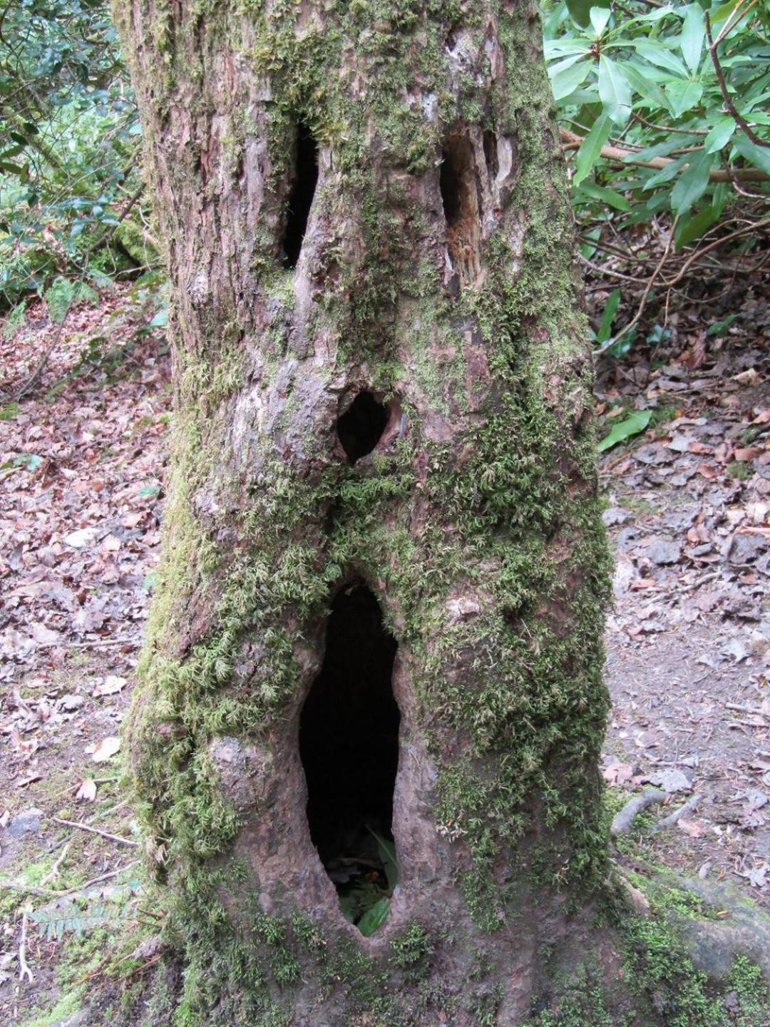 Naehe Nationalpark Διαμέρισμα Baiersbronn Εξωτερικό φωτογραφία